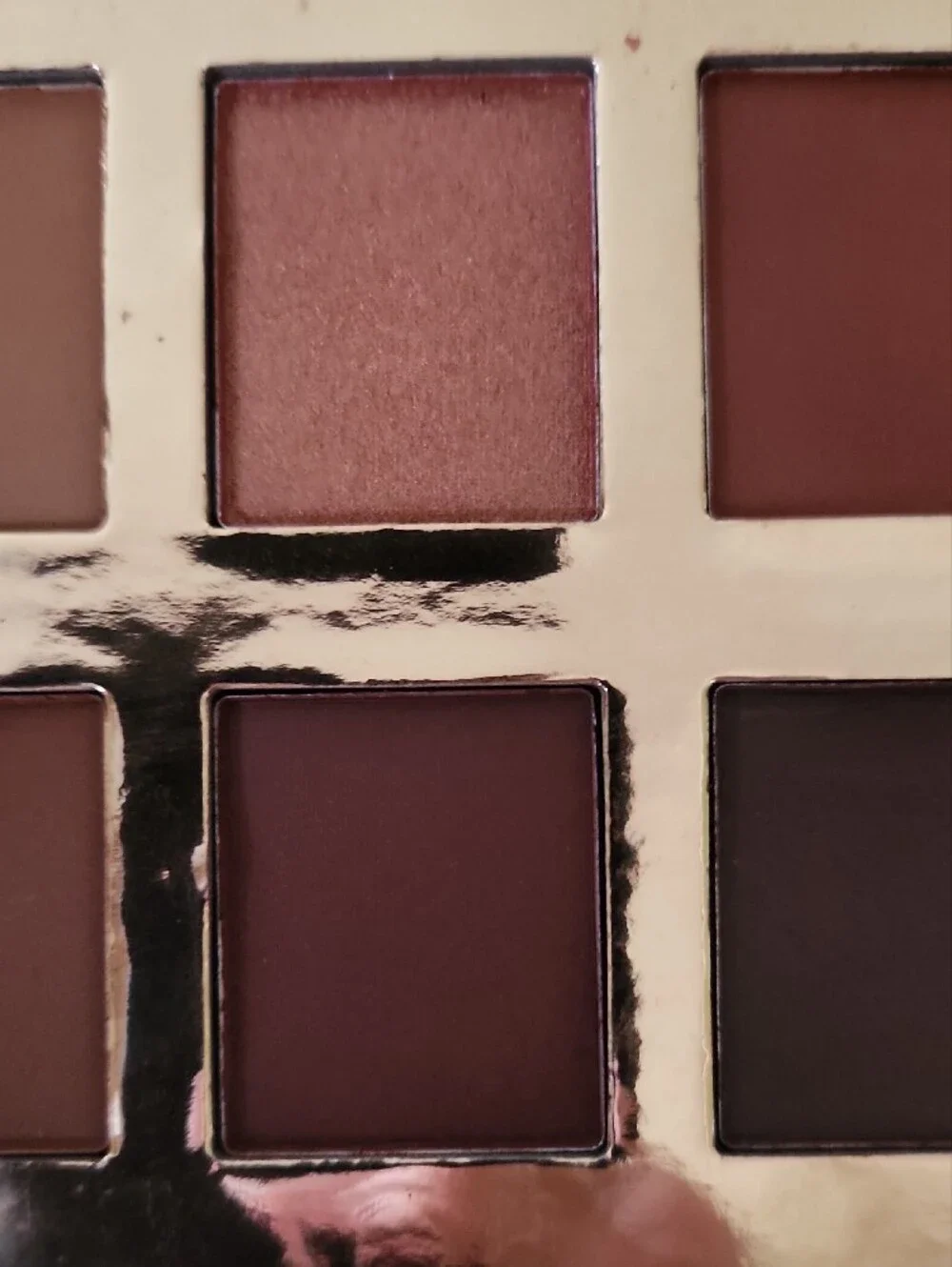Crown Pro 10 Eyeshadow Colors In the Fuego Collction